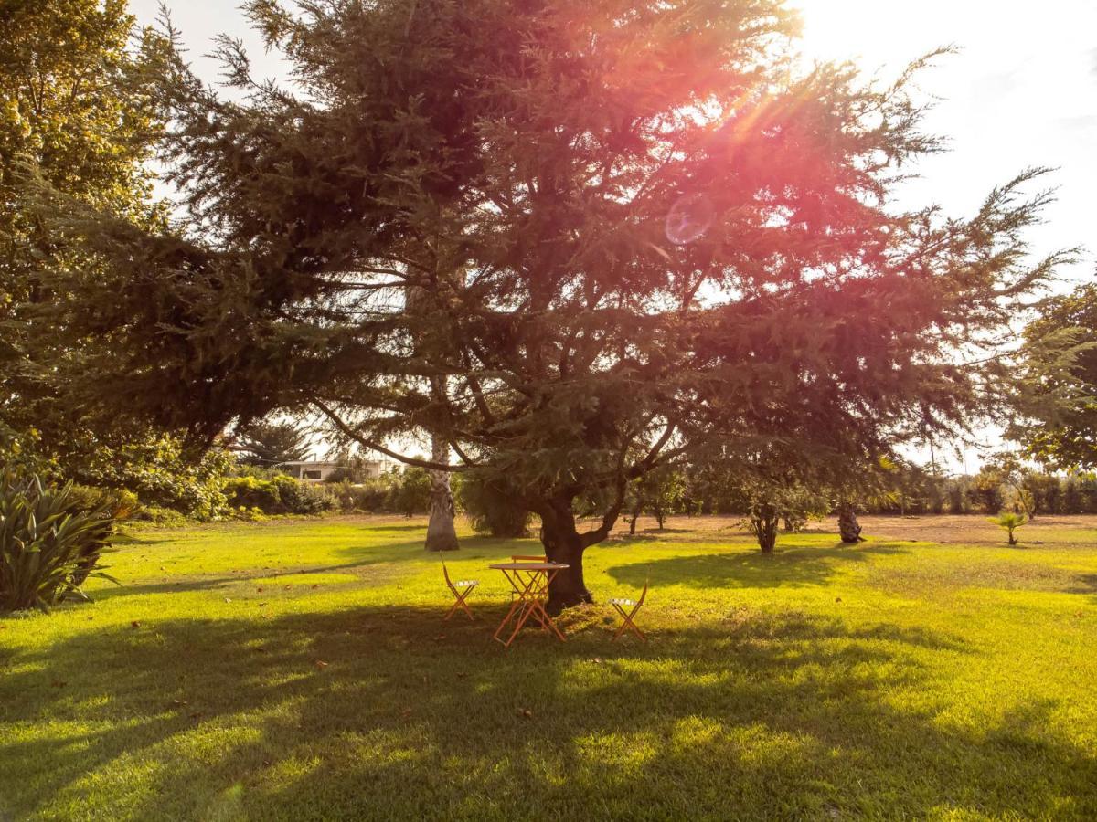 Elea Resort 2 Preveze Dış mekan fotoğraf